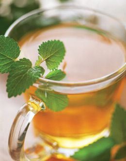 oregano tea