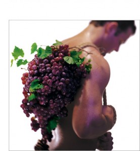 Resveratrol