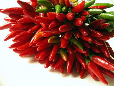 Csili