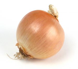 hagyma